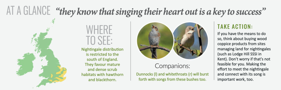 nightingales