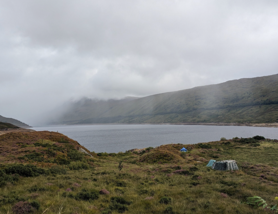 Davey's camp