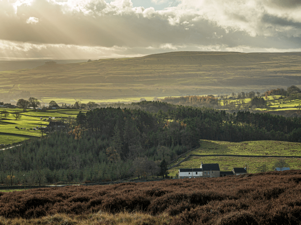 Durham Dales 30 - Snaisgill Plantation - DD30-020188
