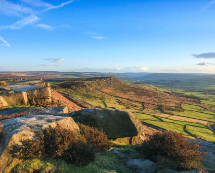 Curbar Edge, home to famous resident longhorns. Credit: Chiz Dakin