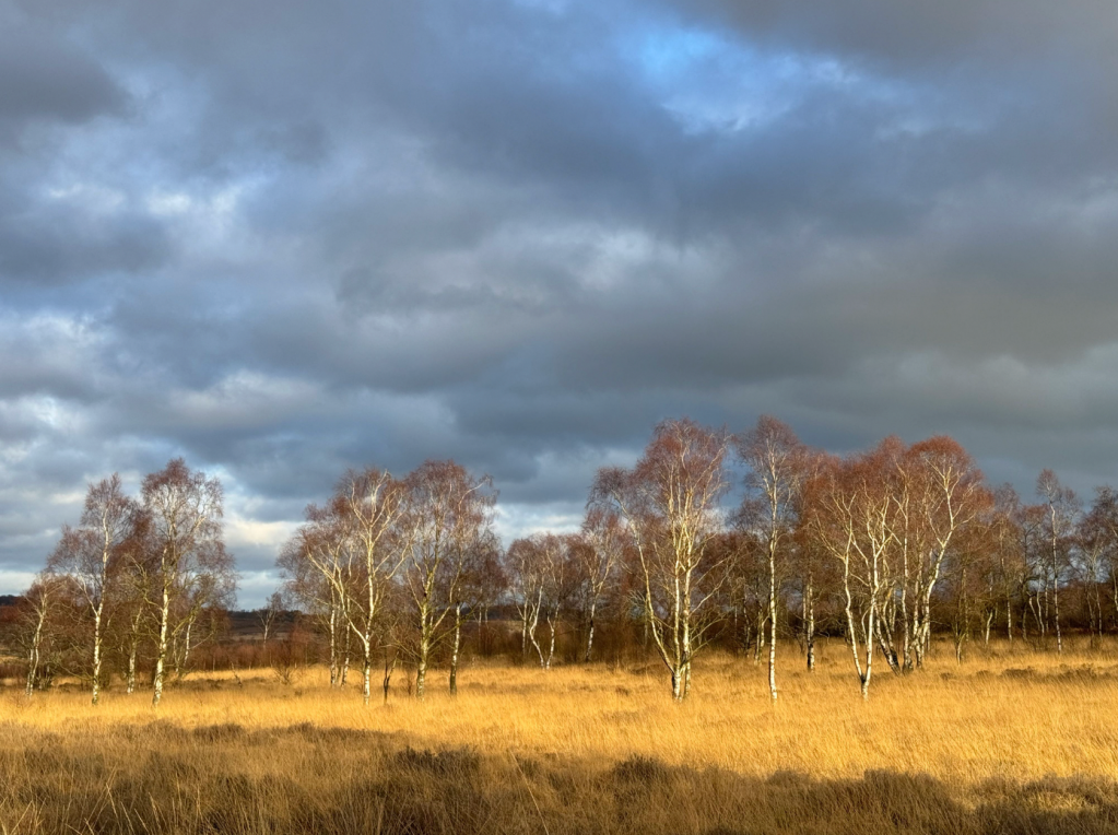 Peak District 9 Edges - Gardoms Edge. Credit: Chiz Dakin