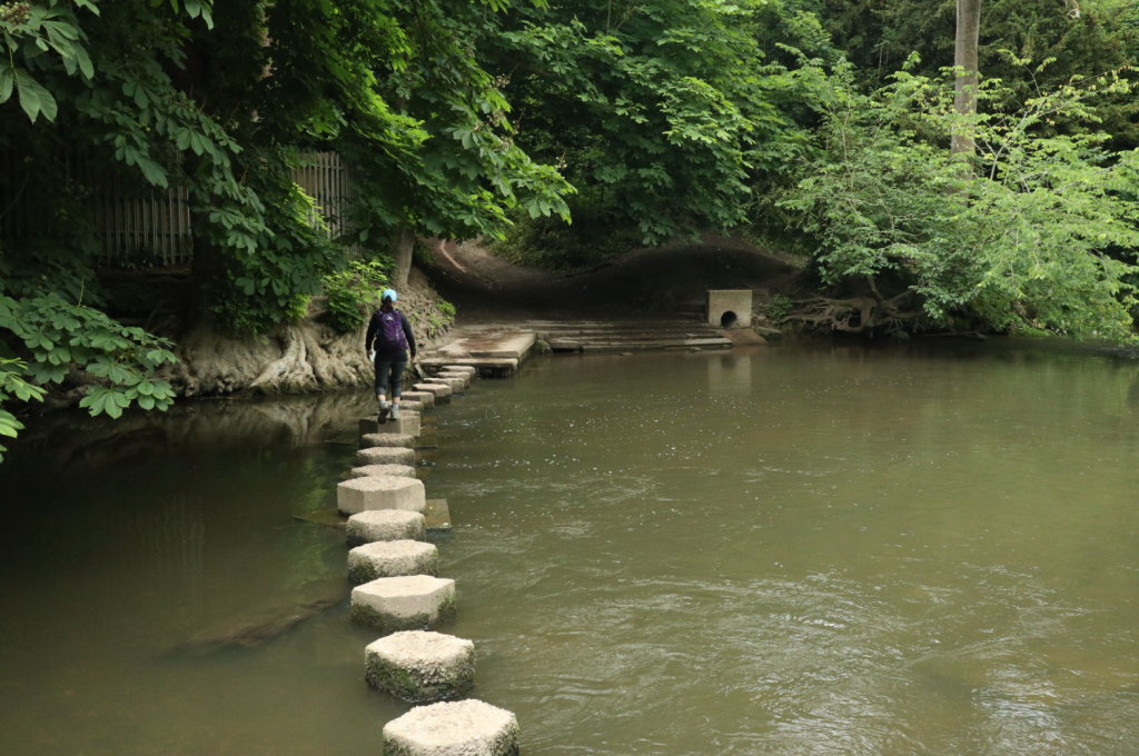Stepping Stones below Box Hilll. Credit: Nike Werstroh
