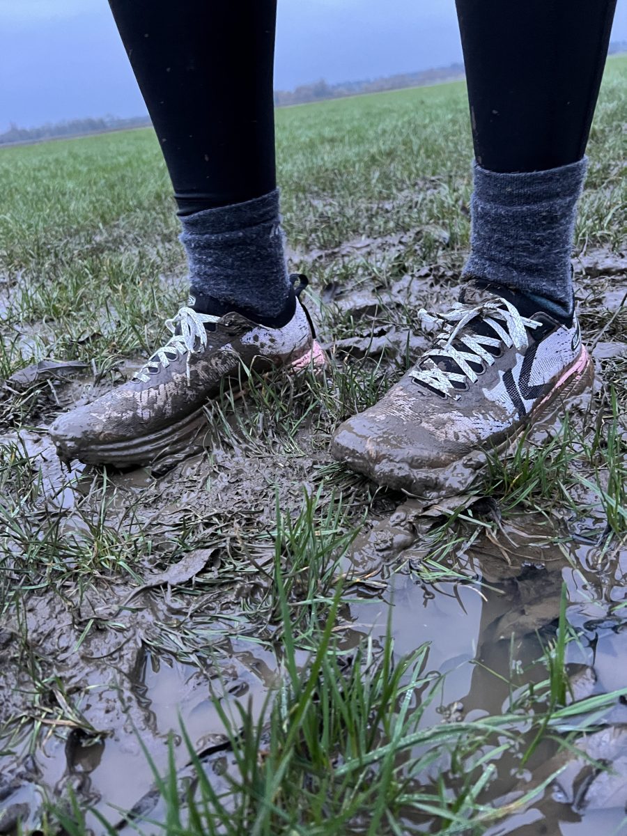 Keen Seek review