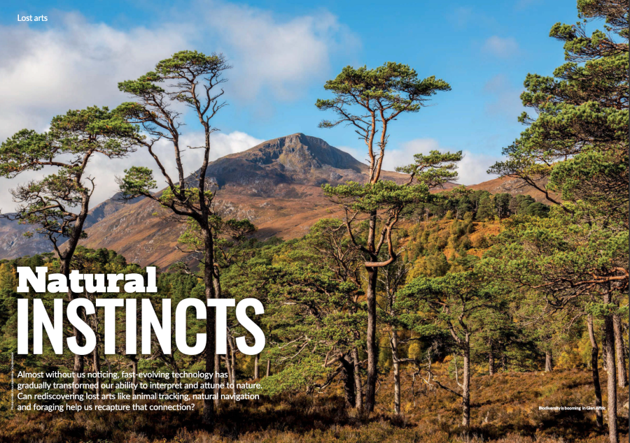 natural instincts september issue - lead feature