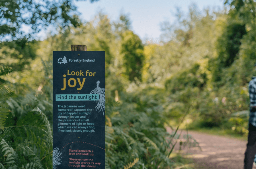 Look out for mindfulness boards on a ramble round Symonds Yat. Credit: Forestry England Crown Copyright