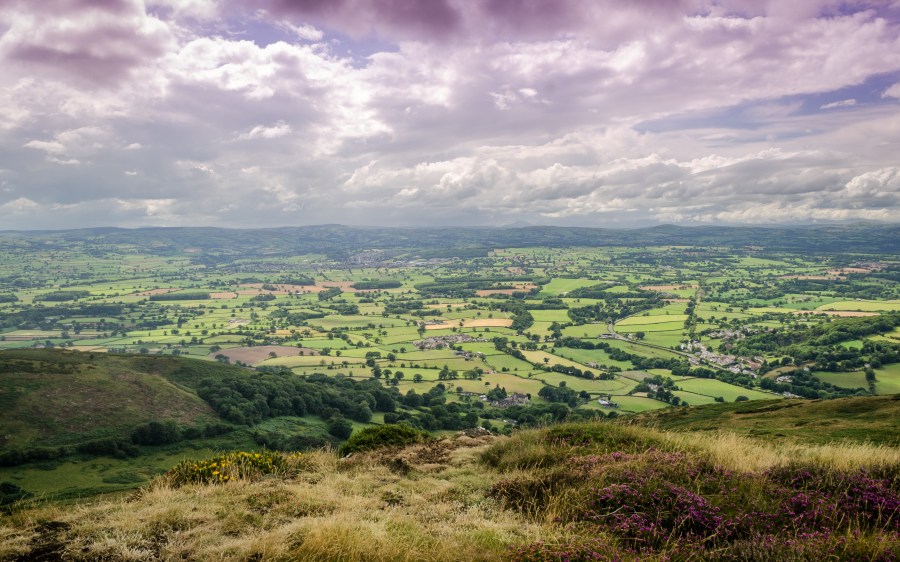 Vale of Clwyd, North Wales. Credit: Dave A Bennett / Shutterstock