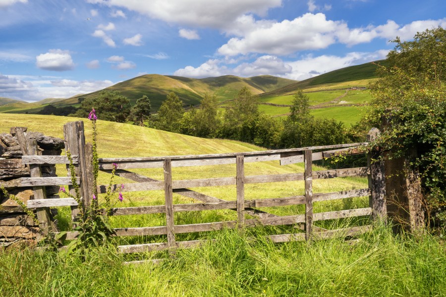 Howgill Fells are hills in Northern England between the Lake District and the Yorkshire Dales, lying roughly in between the made by the towns of Sedbergh, Kirkby Stephen and Tebay.
See less
Upload date: 14 July 2020
Created by:
Pete Stuart
