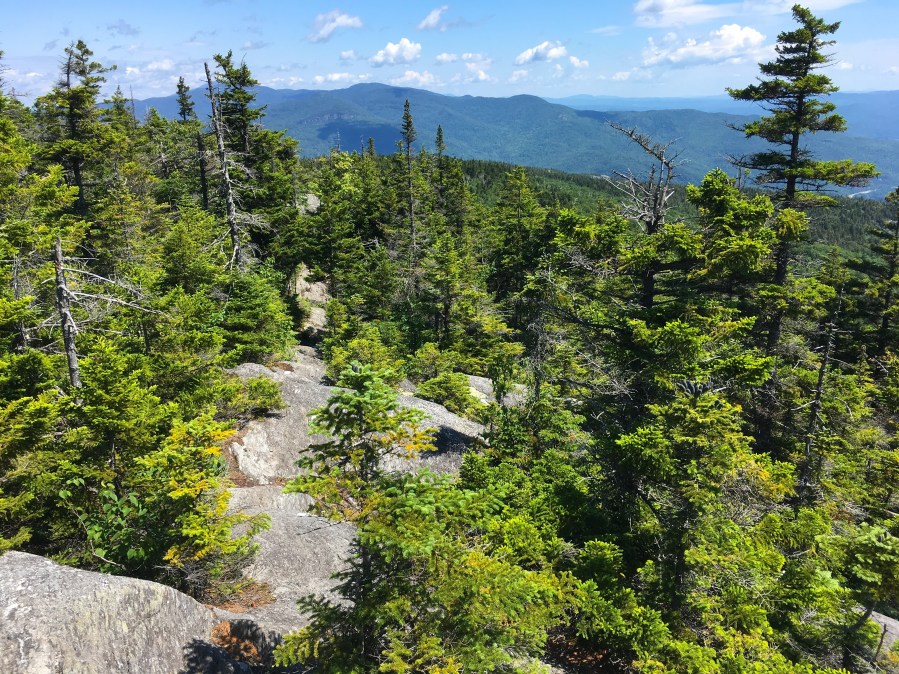 Green Mountains of Vermont as viewed from the Long Trail to Camel's Hump
See less
Upload date: 12 July 2017
Created by:
Laura Knapp