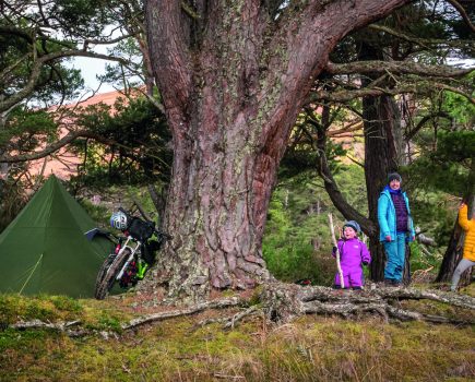 Family of four stood on mossy ground under large tree in woodland with bike
