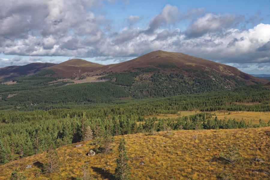 Meall a’ Buachaille