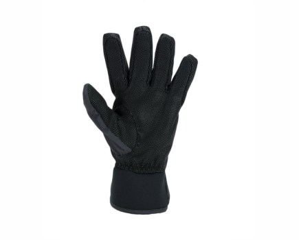 Sealskinz Women’s Waterproof All-Weather Lightweight Glove