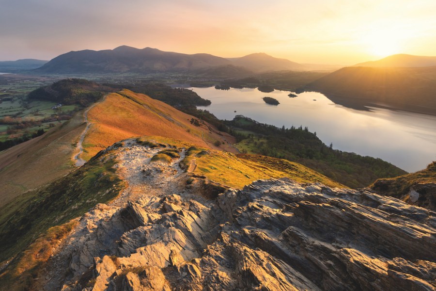 The view over Derwent Water from Cat Bells in the early morning is one of the best dog-friendly walks in the Lake District.